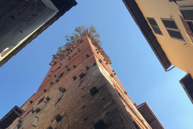 Pisa and Lucca from the Livorno Cruise Port - Starting Point at Livorno Cruise Port