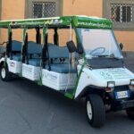 Pisa: Beyond the Tower (1h round-trip tour) - From the Domus Galilaeana to the Palazzo Blu