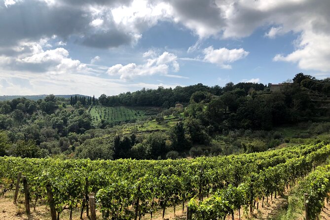 Pisa, Lucca & Winery Private Tour from Livorno port - Exploring Pisa’s Piazza dei Miracoli
