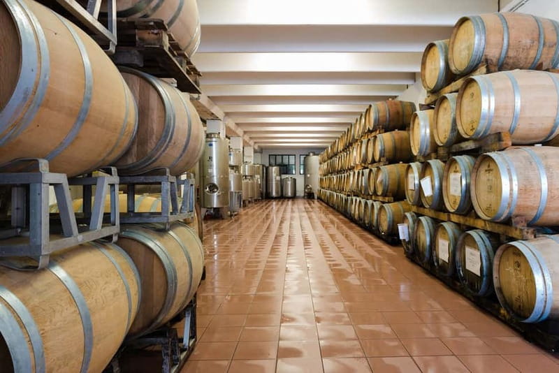 Pisoni: Stories of wine and flavors - The Historic Roots of Pisoni Winery