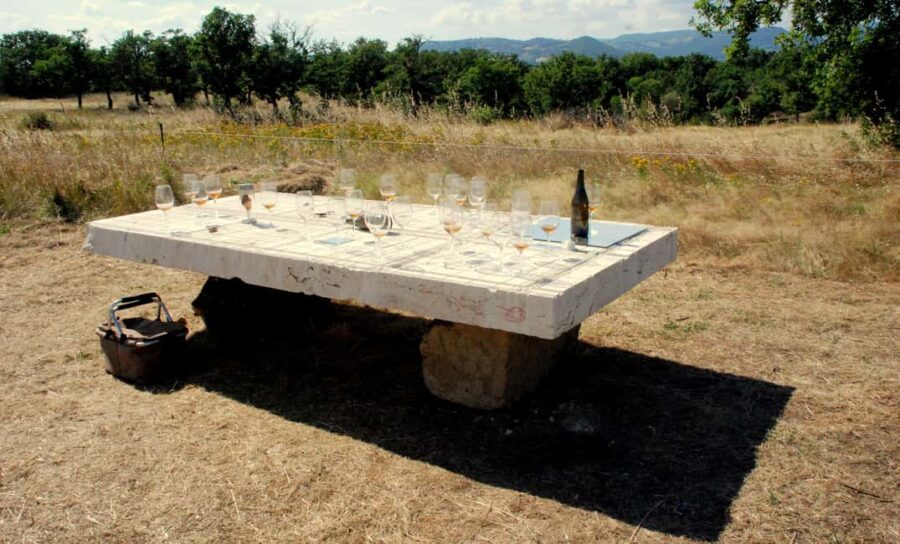 Pitigliano: Ciliegiolo Grape Wine Tasting - Tasting Five Distinct Ciliegiooilo Wines