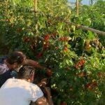 Pizza e Tiramisù class with local mum in Positano - The Beauty of the Positano View