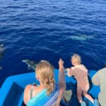 Pizzo: Fishing, Snorkeling, Dolphin Watching - Starting Point at Vibo Marina’s Harbour