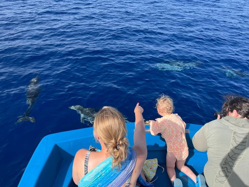 Pizzo: Fishing, Snorkeling, Dolphin Watching - Starting Point at Vibo Marina’s Harbour