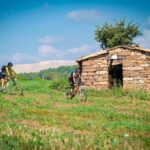 Pla de Bages: Bike tour with wine tasting - Scenic Cycling Through Pla de Bages Wineries and Vineyards