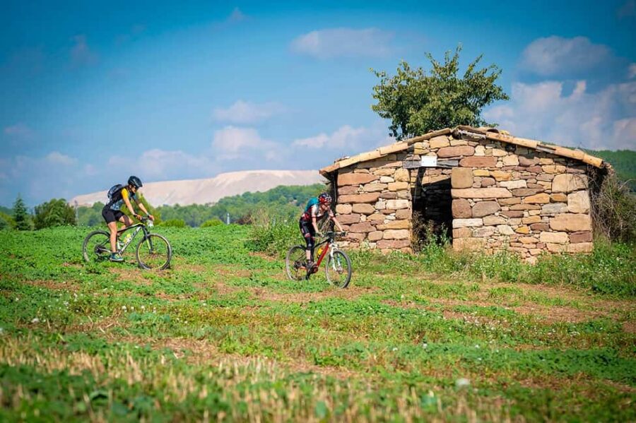 Pla de Bages: Bike tour with wine tasting - Scenic Cycling Through Pla de Bages Wineries and Vineyards