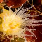 Plakias: Try Scuba Diving first time - Private, from 8 yrs. - Water Conditions and Marine Environment in Plakias