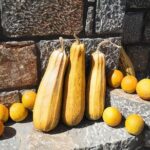 Plateau of Lassithi, Monastery of Kera and Ceramics - Starting Point: Convenient Pickup from North Crete