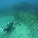 Playa Del Ingles: Discover Scuba Diving - Free Transfers - Full Training Session: Building Confidence Before the Dive
