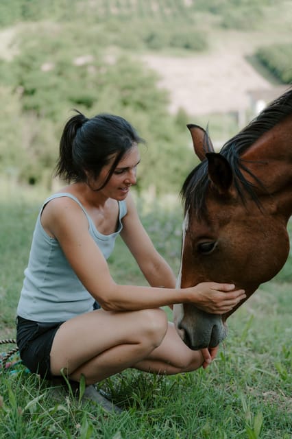 Playful Activities with Animals - Discover an Authentic Hilltop Farm in Piedmont
