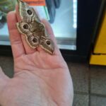 Plitvice: Guided Prayer Walk in Nature - Meeting at the Park’s Coordinates