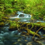 Plitvice Lakes: Guided Walking Tour with Bus and Boat Ride - Starting Point: The Park Cafeteria