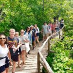 Plitvice Lakes National Park Guided Day Tour from Split - Exploring the Upper Lakes and Local Wildlife