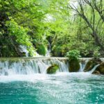 Plitvice Lakes Private Day Tour from Zadar - Exploring Plitvice Lakes National Park’s Natural Wonders