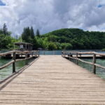 Plitvice lakes Private guided tour - Meeting Point at Entrance 1 of Plitvice National Park