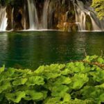 Plitvice Lakes Private Guided Tour - Starting Point at the Entrance 1 of Plitvice Lakes National Park