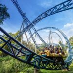 Plopsaland Belgium - Theme Park - Entry Ticket - Celebrate with the “25 Celebration Parade” and Special Events