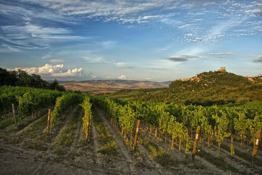 Podere Forte: Tour the winery and enjoy a tasting of three base wines - The Unique Setting of Podere Forte’s Winery