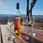 Podgorica: Panoramic Wine Tasting & Snack - The Food and Snacks at the Vineyard
