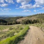 Poggio dell'Aquila: Brunello di Montalcino Wine Tasting - Starting Your Journey at Poggio dellAquila’s Historic Winery