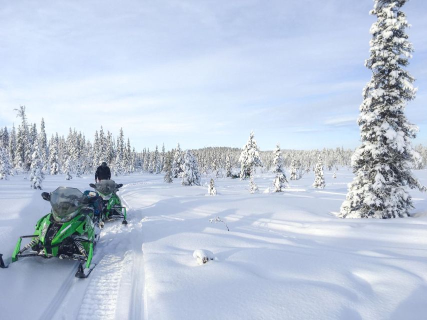 Polar Nature Tour on Snowmobile - Learning to Handle Powerful Snowmobiles