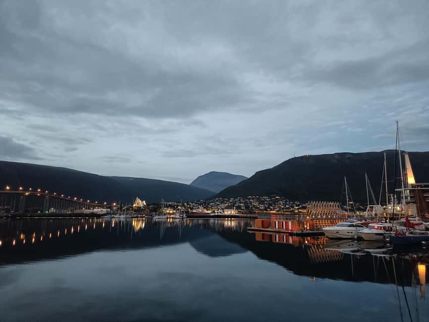 POLARIA AND FAMILY FRIENDLY CITY WALK - Starting at Stortorget in Tromsø’s Heart