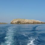 Polignano a Mare boat tour emotions, caves, diving and appetizers - The Guide’s Style and Multilingual Skills