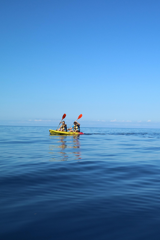 Pollença: Kayak and Coasteering Cliff Jumping - The Route from Cala Molins to Cala Sant Vicenç