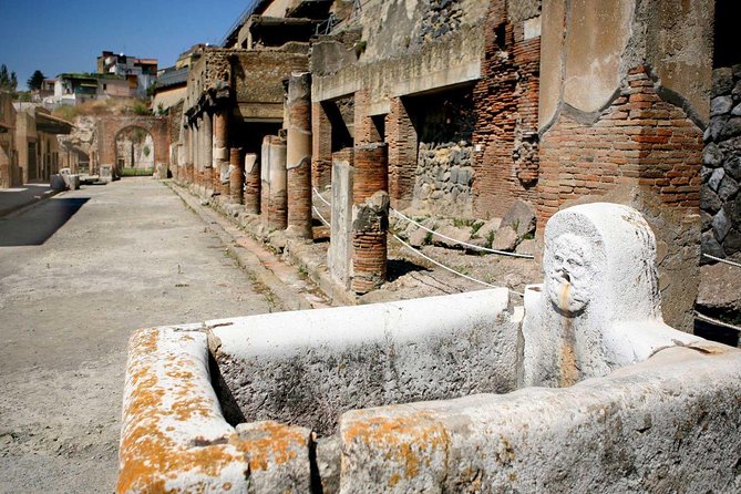 Pompeii: 2-Hour Walking Tour with professional guide - The Expertise of the Licensed Guide