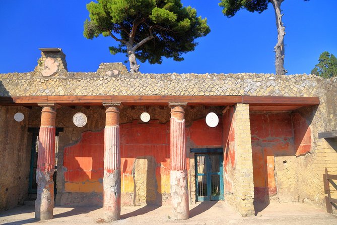 Pompeii and Herculaneum Private Walking Tour with an Archaeologist - Highlights of the Herculaneum Stops
