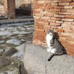 Pompeii and Vesuvius Tour with Pickup - Exploring Pompeii’s Most Important Ruins