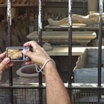 Pompeii and Villa of the Mysteries Private Tour - Visiting Pompeiis Vast Ruins with a Private Guide