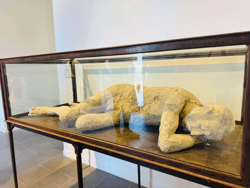 Pompeii: experience with a real archaeologist in a small group - Small Group Experience with a Real Archaeologist