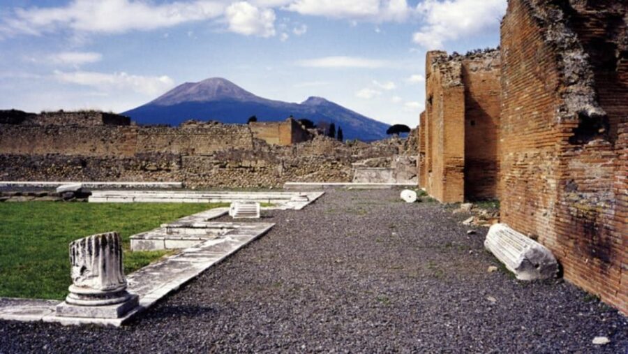 Pompeii half-day tour - Skip the line ticket from Sorrento - The Highlights of Pompeiis Public Spaces and Private Homes