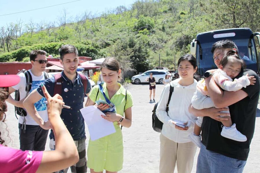 Pompeii: Mount Vesuvius Bus Transfer with Audioguide - Straightforward Transportation to the Vesuvius National Park