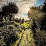 Pompeii semi-private tour, priority Access and Expert Guide - Starting Points and Meeting Arrangements in Pompeii