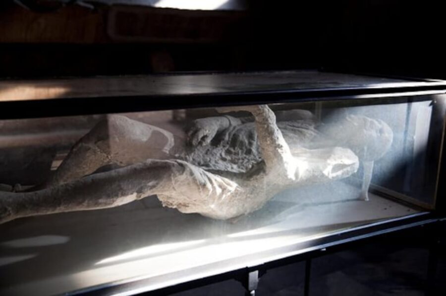 Pompeii: Skip-the-Line Guided Tour with Expert Archaeologist - The Pompeii Archaeological Park: An Immersive Walk Through Time