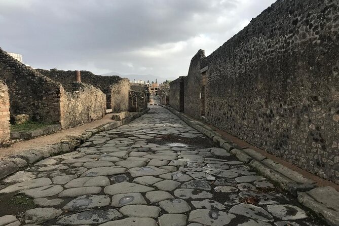 Pompeii - Small Group Tour (skip-the-line admission included) - Meeting Point and Tour Logistics in Pompeii