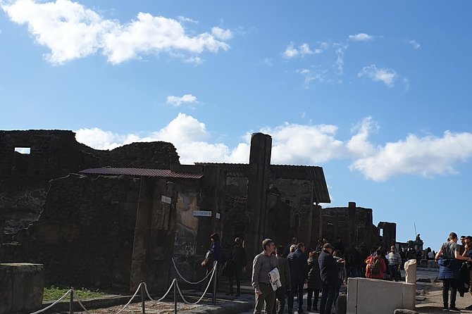 Pompeii tour with entrance ticket! - Highlights of Pompeii’s Newly Restored Houses