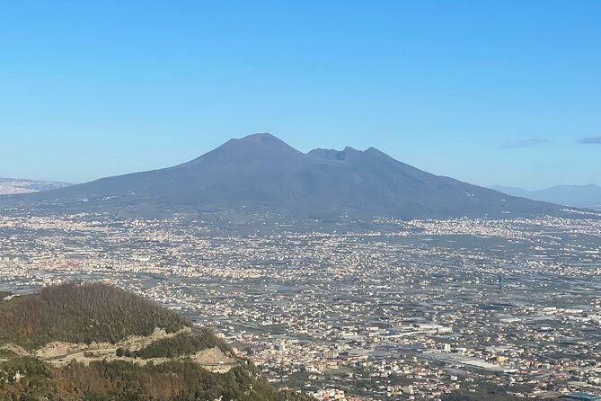 Pompeii & Vesuvius & Lunch from Positano All Inclusive - Exploring Pompeii’s Well-Preserved Ruins with a Knowledgeable Guide