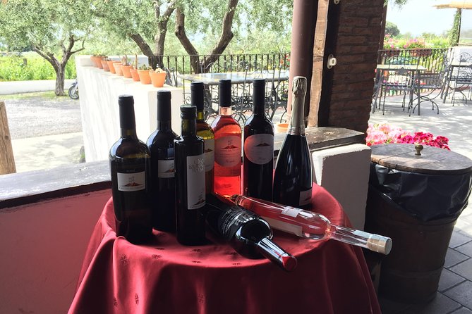 Pompeii-Vesuvius-Wine tour from Sorrento, licensed guide included - Guided Exploration of Pompeii’s UNESCO World Heritage Ruins