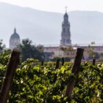 Pompeii Vineyard Escape: Private Wine Tasting & Lunch - Inside the Winemaking Rooms and Cellars