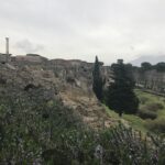 Pompeii Wine Tasting Tour from Positano - From Pompeii to the Bosco de Medici Winery