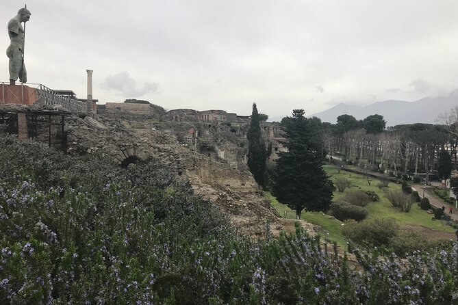 Pompeii Wine Tasting Tour from Positano - From Pompeii to the Bosco de Medici Winery