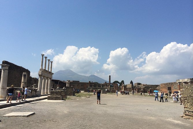 Pompeii-Wine tasting tour from Sorrento, licensed guide included - The Pompeii Archaeological Site with a Licensed Guide