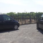 Pompeii,Naples and Pizza Private Tour - Optional Pompeii Guided Tour and Practical Tips