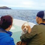 Ponta de São Lourenço Boat Tour - Flexibility and Cancellation Policy