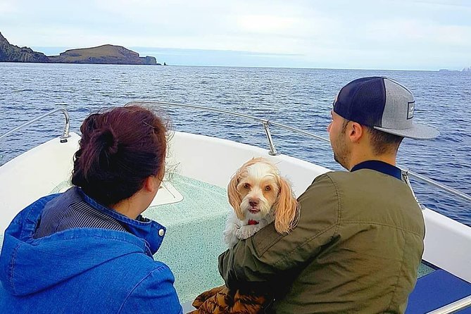 Ponta de São Lourenço Boat Tour - Flexibility and Cancellation Policy