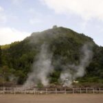 Ponta Delgada: Furnas Hot Springs & Food Private Tour - Logistics, Group Size, and Flexibility
