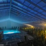 Ponta Delgada: Greenhouse Hot Tube with Pineapple Tour - Starting Point at Herdade do Ananás